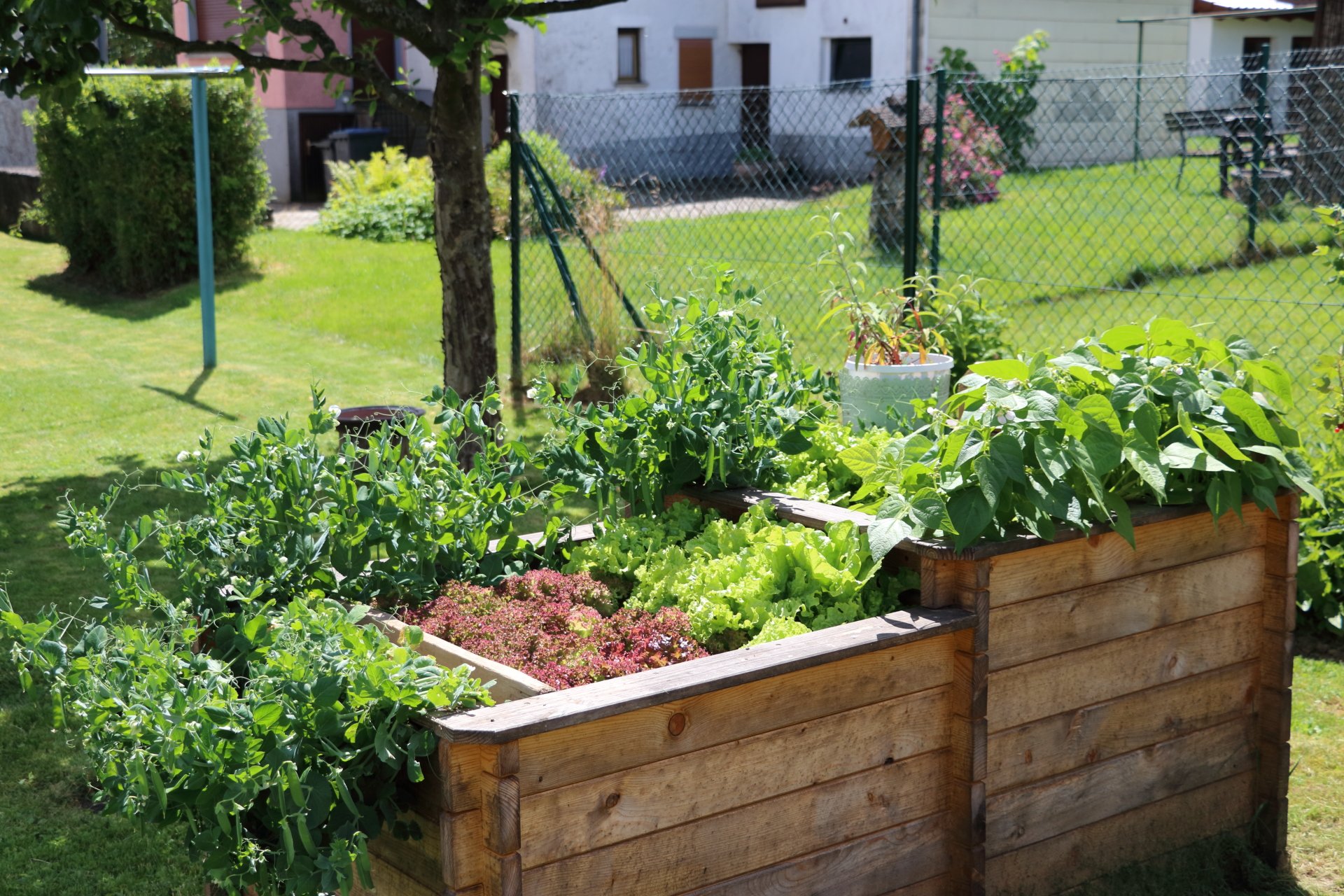 Garten 11