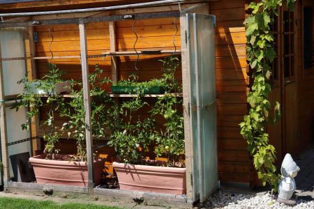 Garten 10