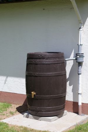 Garten 12