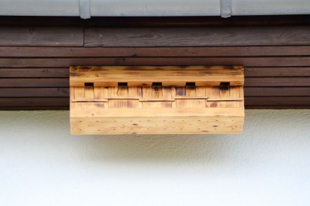 Garten 17