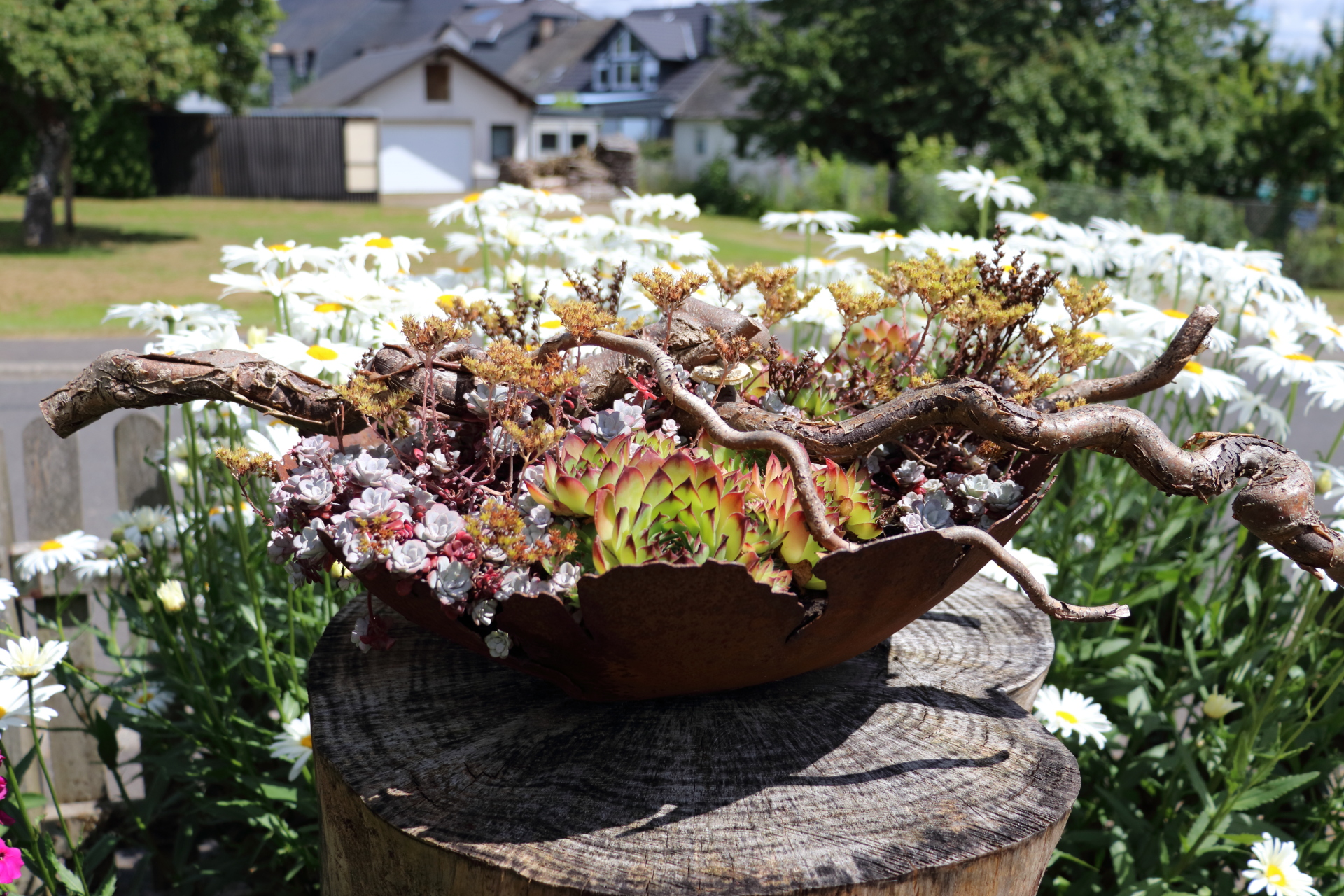 Garten 13